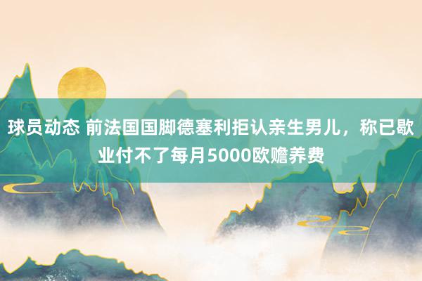 球员动态 前法国国脚德塞利拒认亲生男儿，称已歇业付不了每月5000欧赡养费