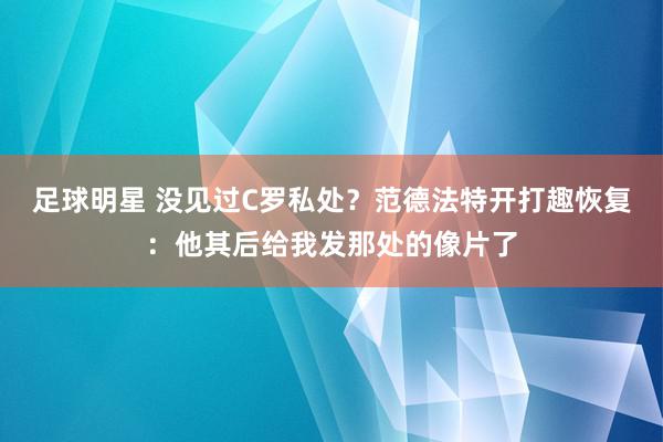 足球明星 没见过C罗私处？范德法特开打趣恢复：他其后给我发那处的像片了