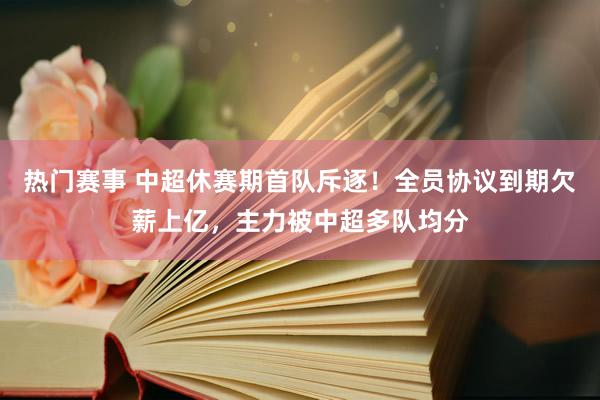 热门赛事 中超休赛期首队斥逐！全员协议到期欠薪上亿，主力被中超多队均分